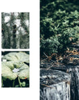 Nordic Garden Design
