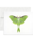 Open Sea - Luna Moth Greeting Card