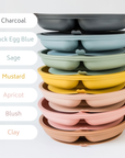 Silicone Suction Plate
