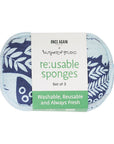 RE:usable Sponges (Set of 3) - Nuthatch Dog Park