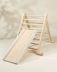 Montessori 2-in-1 Grip Climber Board & Slide