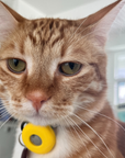 Silicone Collar AirTag Holder