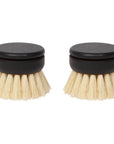Danica Heirloom - Sisal Replacement Dish Brush Heads Set of 2