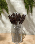 Bamboo Switch - Coconut Fiber Plastic Free Straw Cleaner