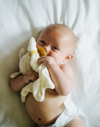 100% Cotton PaciPixy Comforter