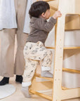Educational Tower - Natural Wood
