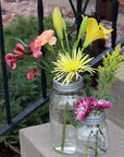 Galvanized Metal Flower Organizer Frog Lid for Mason Jars