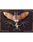 Halloween Bat & Bat Sketelon Paper Set