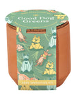 Tiny Terracotta Pet Grow Kits