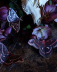 'Autumn' Cecropia Moth Set