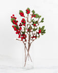 The Winding Road - Green, Red & White Berry Stems 4 Assorted