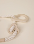 Exercise Rings for Swedish Wall Climber