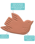 Bertie Bird Terracotta Sugar Saver