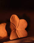 Natural rubber Rattle Plumeria - Rose