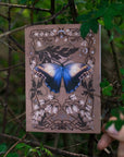 Owl Butterfly Greeting Card with Removable Butterfly