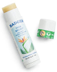 Badger Itch Relief Stick, Anti-Itch Cream for Bug Bites 12ct