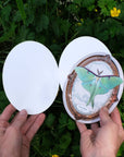 Luna Moth Oval Greeting Card