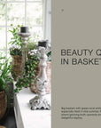 Cozy Publishing - The Potted Garden - All Year Round