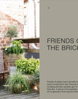 Cozy Publishing - The Potted Garden - All Year Round
