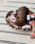 Ashi Dog Toy Large - Cherry Red/Taupe