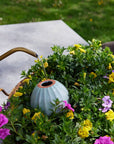 Terracotta Watering Bulb