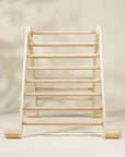 Montessori 2-in-1 Triangle & Wall Climber