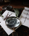 Stag Beetle Foil Greeting Card