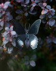 'Spellbound' Paper Witch Moth and Butterfly 3 Piece Set