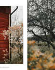 Once Upon a Country Kitchen