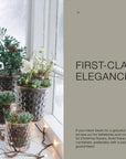 Cozy Publishing - The Potted Garden - All Year Round