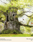 Through the Fairy Door