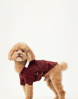 Montage Expandable Hoodie - Red/Blue