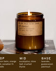 Wild Herb Tonic - 7.2 oz Standard Soy Candle