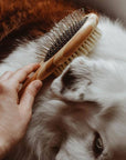 Dog Brush