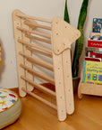 Montessori Indoor Playground | Pikler Triangle & Climbing Arch