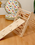 Montessori Indoor Playground | Pikler Triangle & Climbing Arch