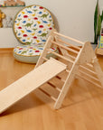 Montessori Indoor Playground | Pikler Triangle & Climbing Arch