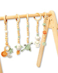 Montessori Baby Gym & Hanging Toys Set | Wooden Play Gym for Babies