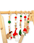 Montessori Baby Gym & Hanging Toys Set | Wooden Play Gym for Babies