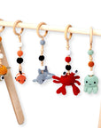 Montessori Baby Gym & Hanging Toys Set | Wooden Play Gym for Babies
