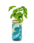 Garden Jars - Organic Herbs
