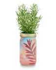 Garden Jars - Organic Herbs