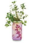 Garden Jars - Organic Herbs