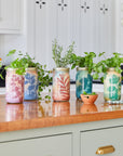 Garden Jars - Organic Herbs