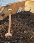 Seed Pops - Pollinator