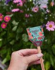 Seed Pops - Pollinator