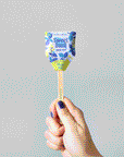 Seed Pops - Garden