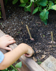 Seed Pops - Garden