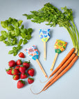 Seed Pops - Garden