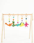 Montessori Baby Gym & Hanging Toys Set | Wooden Play Gym for Babies